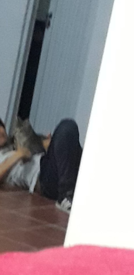 :3
