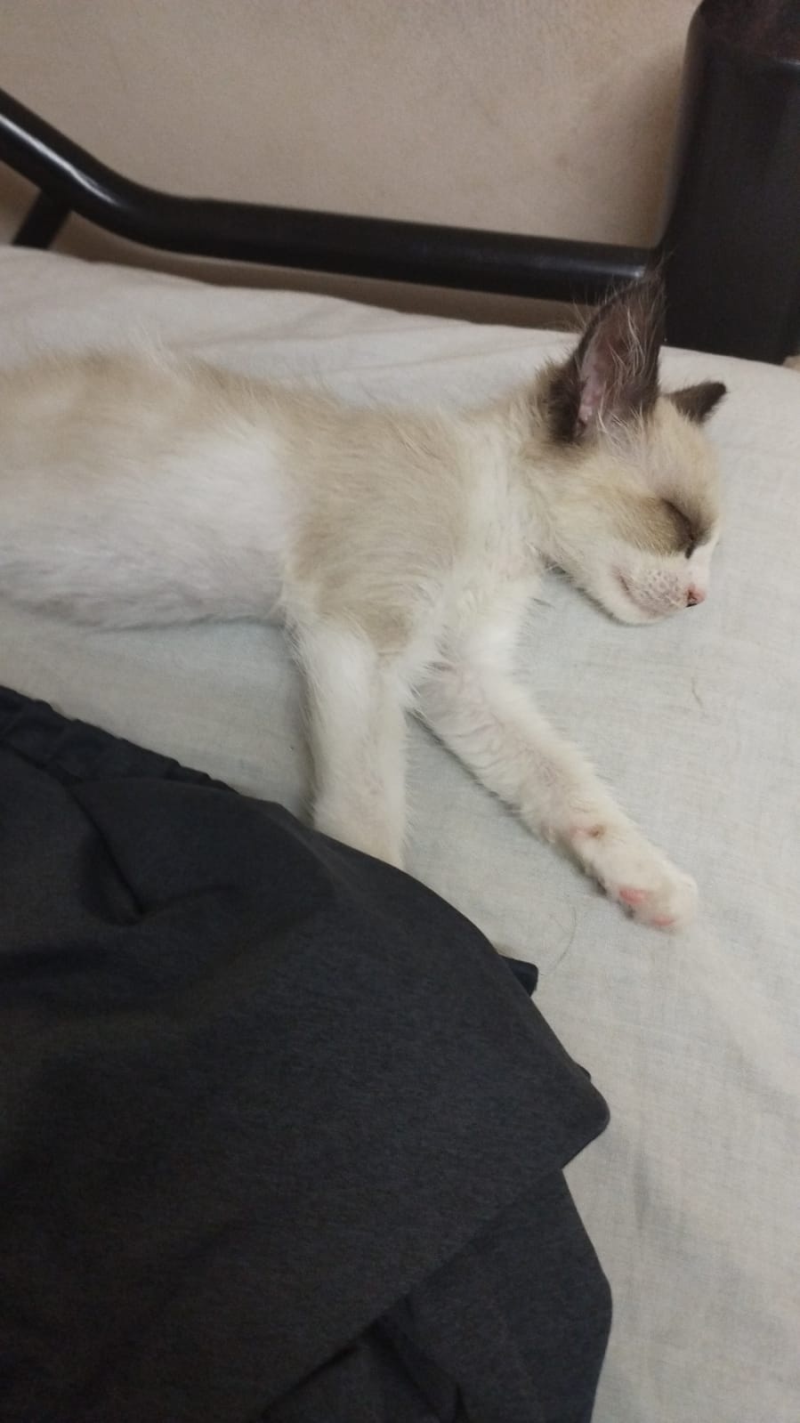 chiqui:3