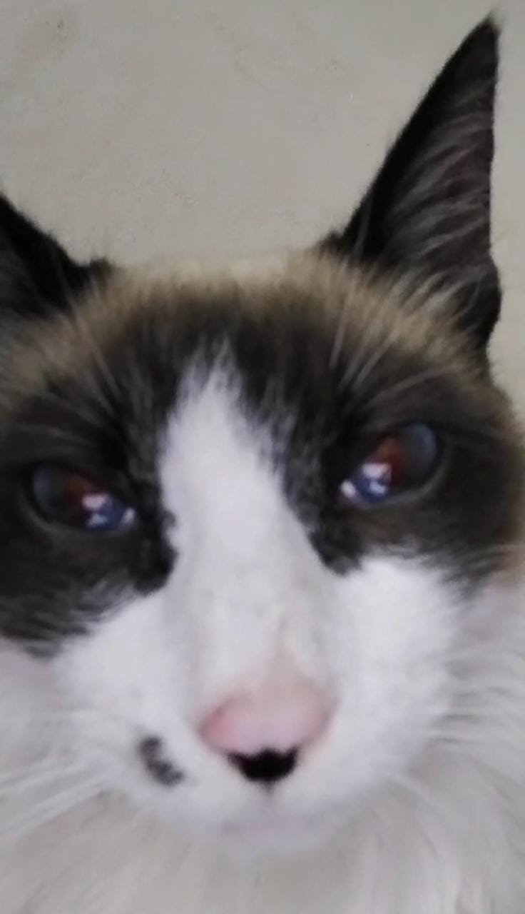 uoh